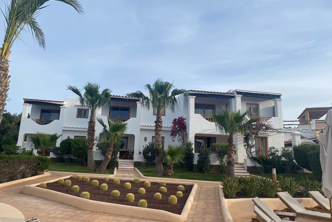 ibizagevoel-petunia-buiten